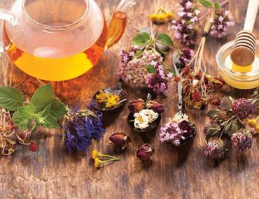 Herbal cures for winter ailments
