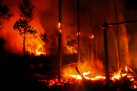 The great Australian bush fires Australian fires 2019-20