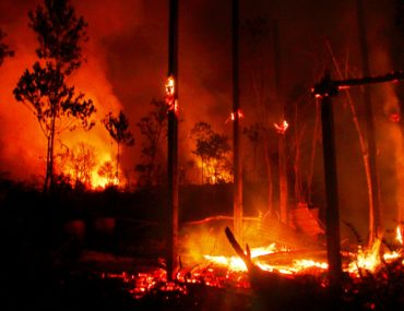 The great Australian bush fires Australian fires 2019-20