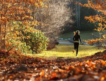 For a healthy menopausal life